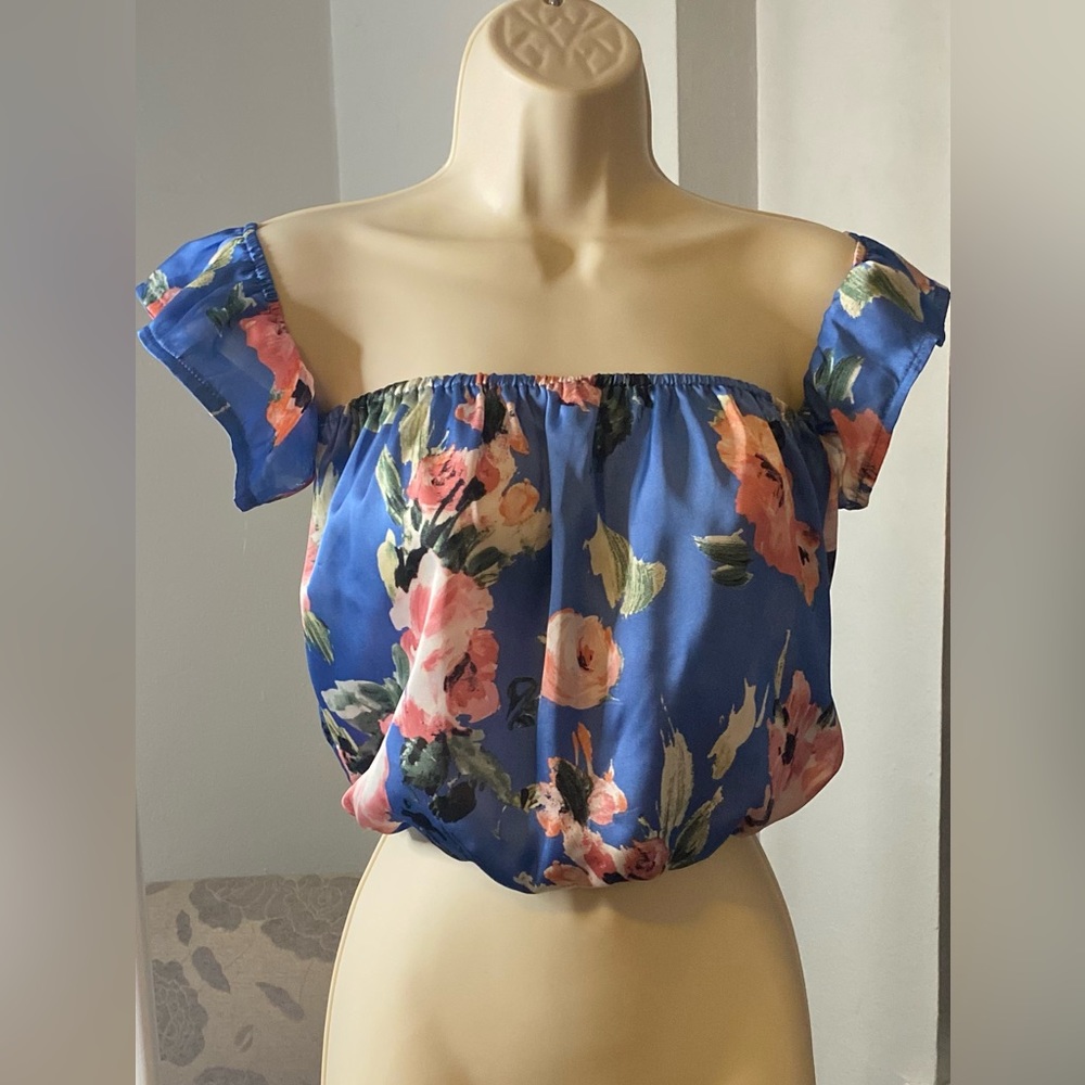 NWOT The Hanger Blue and Pink Floral Off the Shoulder Crop Blouse S
